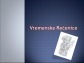 Vremenske rečenice